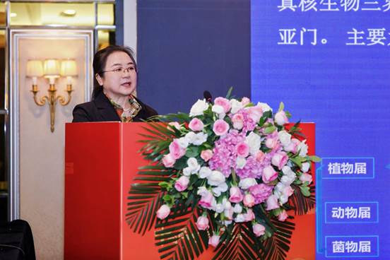 905668544e72bc14024c6682f499724